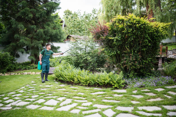 Best Local Pest Control Services  in Tustin, CA