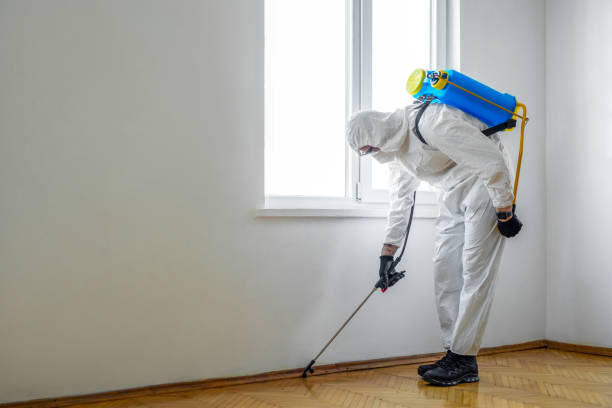 Best Pest Control Treatment  in Tustin, CA