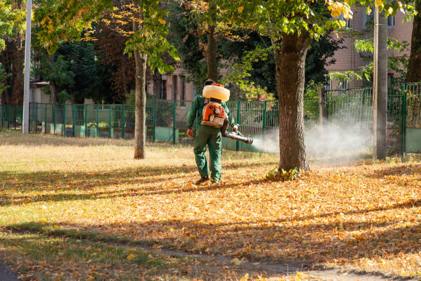 Best Commercial Pest Control Services  in Tustin, CA