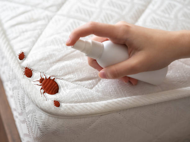 Professional Pest Control in Tustin, CA