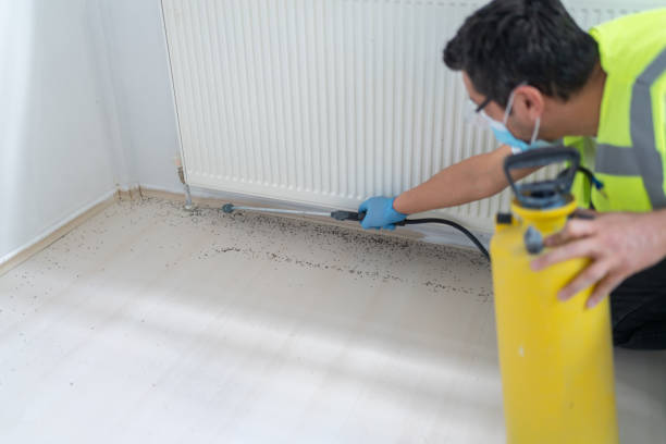 Best Exterminator Services  in Tustin, CA