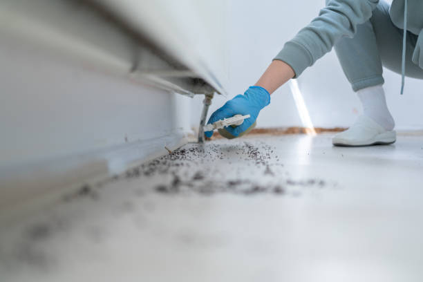 Trusted Tustin, CA Pest Control Experts